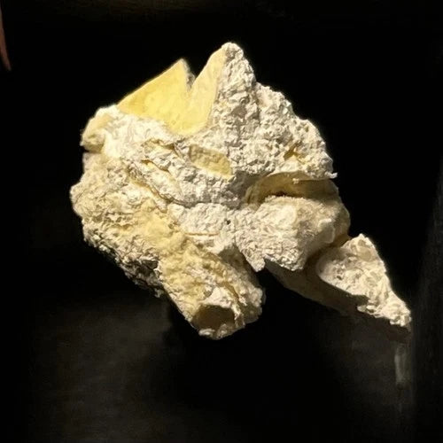 Crandallite Crystal Micro Clear Springs Mine Loc 13 Bartow FLORIDA USA