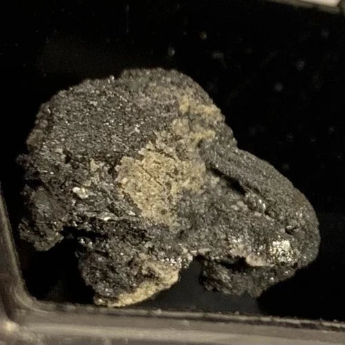 Acanthite After Argentite Crystal & Silver Wire Rio Del Norte Guanajuato MEXICO