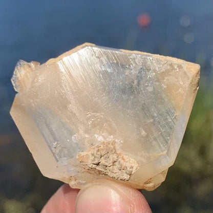 Amphibole In Quartz Tabular Crystal Kharan Balochistan PAKISTAN 24g