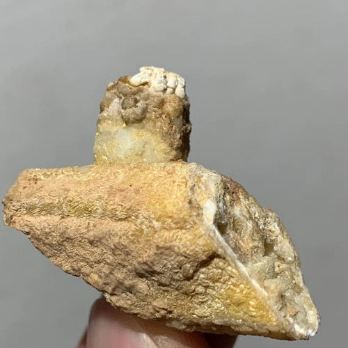 Aragonite Crystal Pseudomorph / Epimorph MOROCCO 11.5g
