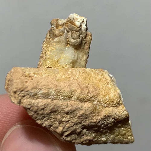 Aragonite Crystal Pseudomorph / Epimorph MOROCCO 11.5g