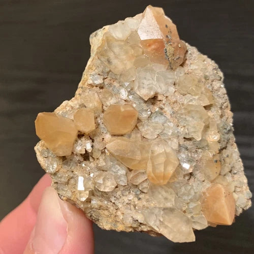 Astrophyllite Included Quartz Crystals Zagi Mt Khyber Pakhtunkhwa PAKISTAN 65g