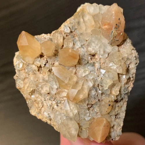 Astrophyllite Included Quartz Crystals Zagi Mt Khyber Pakhtunkhwa PAKISTAN 65g