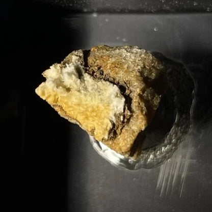 Barytocalcite Crystal Micro Cumberland ENGLAND UK