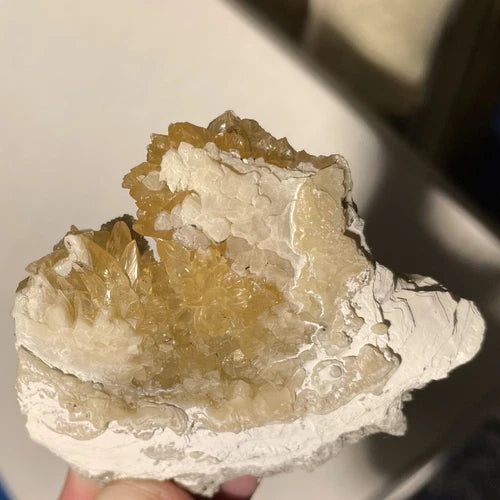 Calcite Crystals In Fossil Shell Rucks Pit Okeechobee Co FLORIDA USA 63g
