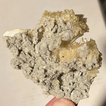 Calcite Crystals In Fossil Shell Rucks Pit Okeechobee Co FLORIDA USA 63g