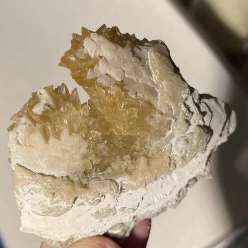 Calcite Crystals In Fossil Shell Rucks Pit Okeechobee Co FLORIDA USA 63g