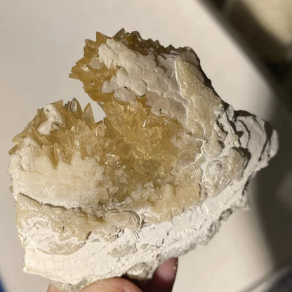 Calcite Crystals In Fossil Shell Rucks Pit Okeechobee Co FLORIDA USA 63g