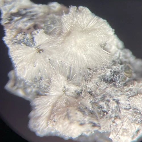 Canavesite (TL) Crystal Micro Brosso Mine Canavese Torino ITALY Type Locality