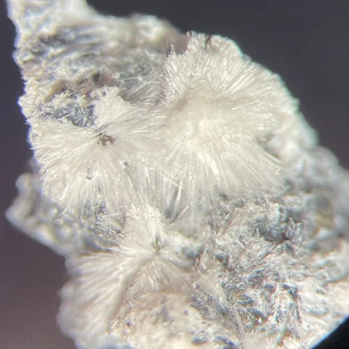 Canavesite (TL) Crystal Micro Brosso Mine Canavese Torino ITALY Type Locality