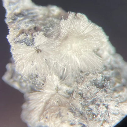 Canavesite (TL) Crystal Micro Brosso Mine Canavese Torino ITALY Type Locality