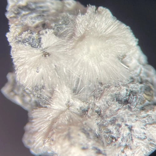 Canavesite (TL) Crystal Micro Brosso Mine Canavese Torino ITALY Type Locality