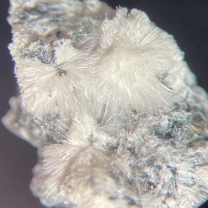 Canavesite (TL) Crystal Micro Brosso Mine Canavese Torino ITALY Type Locality