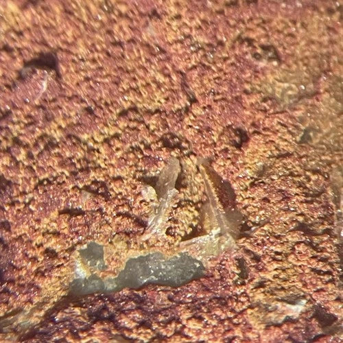 Carminite Crystal Micro Cap Garonne FRANCE