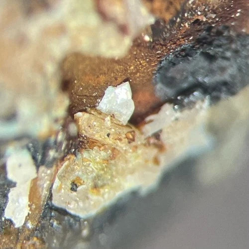 Cerussite Crystal Micro Silver Valley Mine Davidson Co NORTH CAROLINA USA