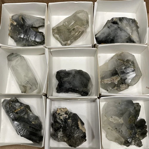 Chlorite & Amphibole In Quartz Crystal Khaplu Gilgit-Baltistan PAKISTAN Lot Of 9