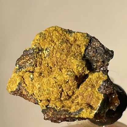 Cyrilovite Crystal Micro Iron Monarch Mine Iron Knob AUSTRALIA