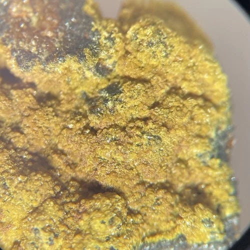 Cyrilovite Crystal Micro Iron Monarch Mine Iron Knob AUSTRALIA