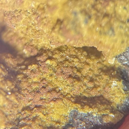 Cyrilovite Crystal Micro Iron Monarch Mine Iron Knob AUSTRALIA