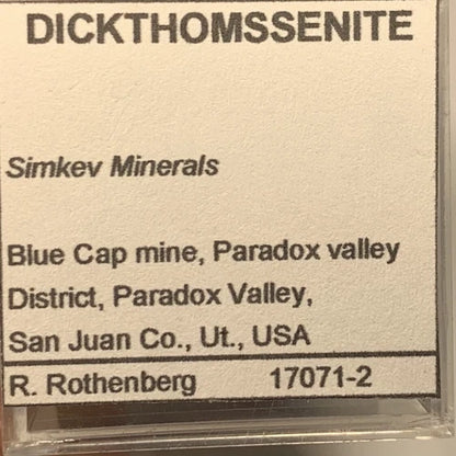Dickthomssenite Crystal Micro Blue Cap Mine Paradox Valley San Juan Co Utah USA