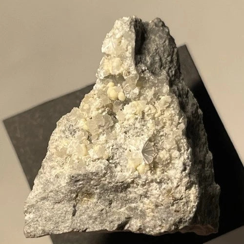 Dresserite (TL) Crystal Micro Francon Qry Montreal Quebec CANADA