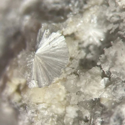 Dresserite (TL) Crystal Micro Francon Qry Montreal Quebec CANADA