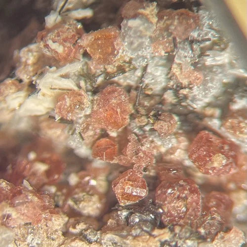 Eudialyte & Sodalite Crystal Micro Mont St Hilaire Quebec CANADA 1987