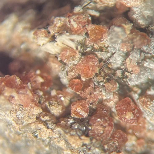 Eudialyte & Sodalite Crystal Micro Mont St Hilaire Quebec CANADA 1987