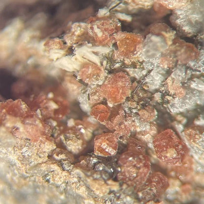 Eudialyte & Sodalite Crystal Micro Mont St Hilaire Quebec CANADA 1987