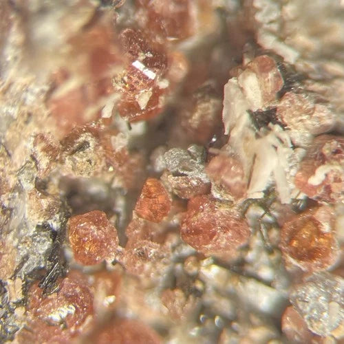 Eudialyte & Sodalite Crystal Micro Mont St Hilaire Quebec CANADA 1987