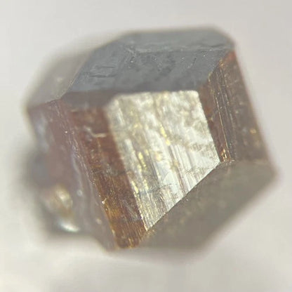 Fluor - Buergerite (TL) Tourmaline Crystals Mexquitic de Carmona San Luis Potosí MEXICO