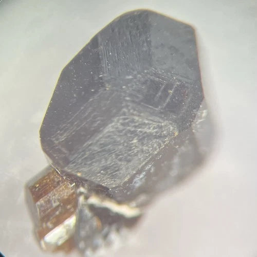 Fluor - Buergerite (TL) Tourmaline Crystals Mexquitic de Carmona San Luis Potosí MEXICO
