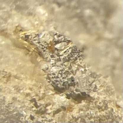 Jasonsmithite (TL) Crystal Micro Foote Mine Cleveland Co NORTH CAROLINA USA