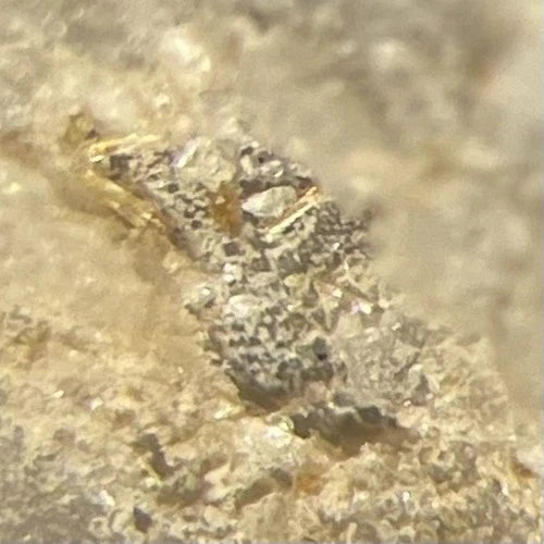 Jasonsmithite (TL) Crystal Micro Foote Mine Cleveland Co NORTH CAROLINA USA