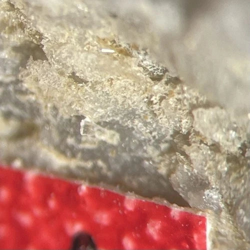 Jasonsmithite (TL) Crystal Micro Foote Mine Cleveland Co NORTH CAROLINA USA