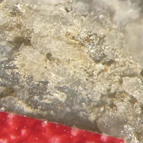 Jasonsmithite (TL) Crystal Micro Foote Mine Cleveland Co NORTH CAROLINA USA