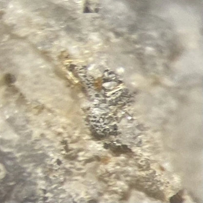 Jasonsmithite (TL) Crystal Micro Foote Mine Cleveland Co NORTH CAROLINA USA