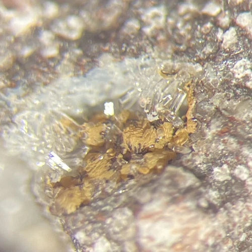 Merlinoite Crystal Micro Lagno Amendolare Vesuvio Napoli ITALY