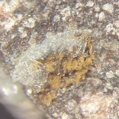 Merlinoite Crystal Micro Lagno Amendolare Vesuvio Napoli ITALY
