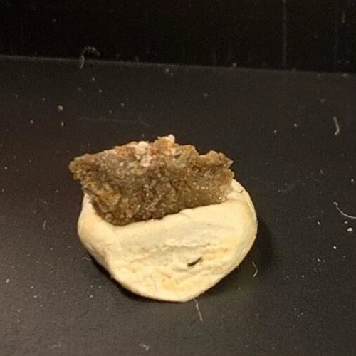 Phosphohedyphane Crystal Micro Root Mine Goodsprings Clark Co NEVADA USA