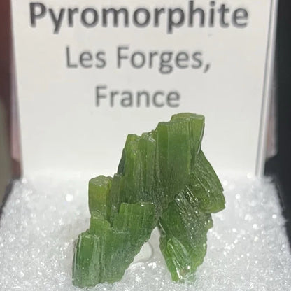 Pyromorphite Crystals Les Forges FRANCE