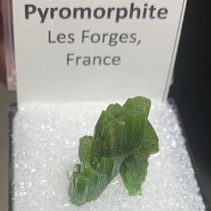 Pyromorphite Crystals Les Forges FRANCE