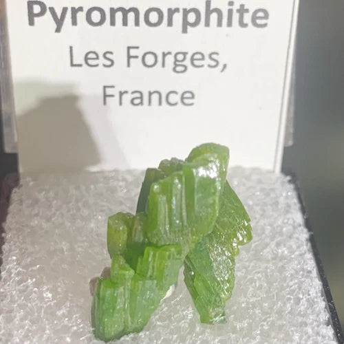 Pyromorphite Crystals Les Forges FRANCE