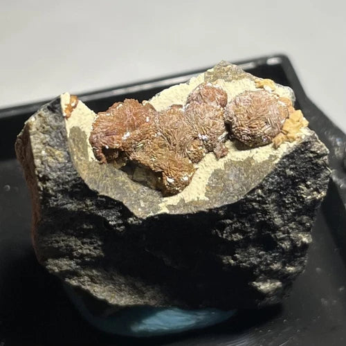 Siderite Crystals Clackamas Co OREGON USA
