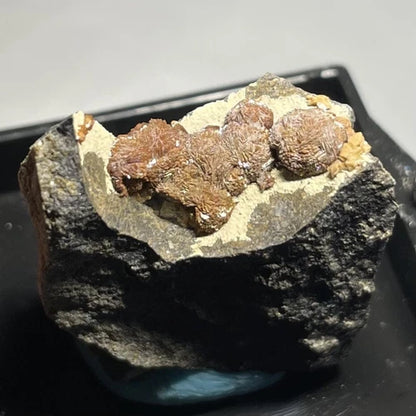 Siderite Crystals Clackamas Co OREGON USA