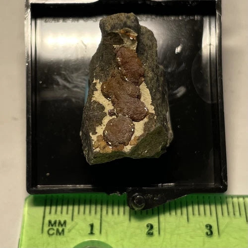 Siderite Crystals Clackamas Co OREGON USA