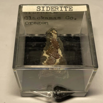 Siderite Crystals Clackamas Co OREGON USA