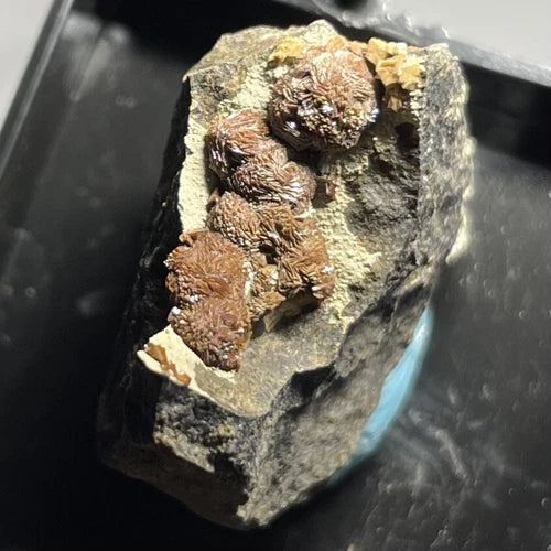 Siderite Crystals Clackamas Co OREGON USA