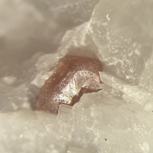 Spinel Crystal Micro Limecrest Qry Sussex Co NEW JERSEY USA