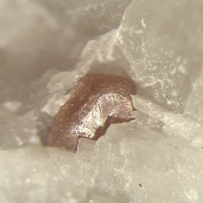 Spinel Crystal Micro Limecrest Qry Sussex Co NEW JERSEY USA